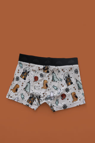 TRICK ROAR TREAT DREAM BOY'S BOXER BRIEF SET