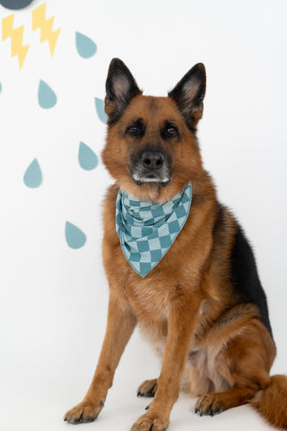 STORMY CHECKERS DREAM DOG BANDANA