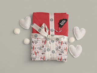 LOVE TAKES FLIGHT DREAM BLANKET