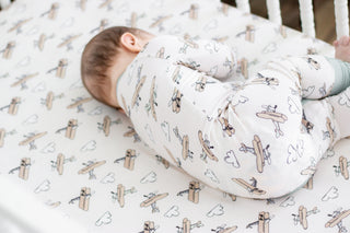 PLANE FUN DREAM CRIB SHEET